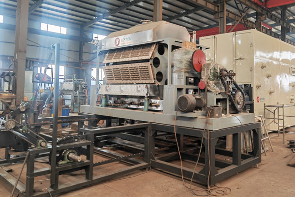 Beston Pulp Molding Machine for Sale